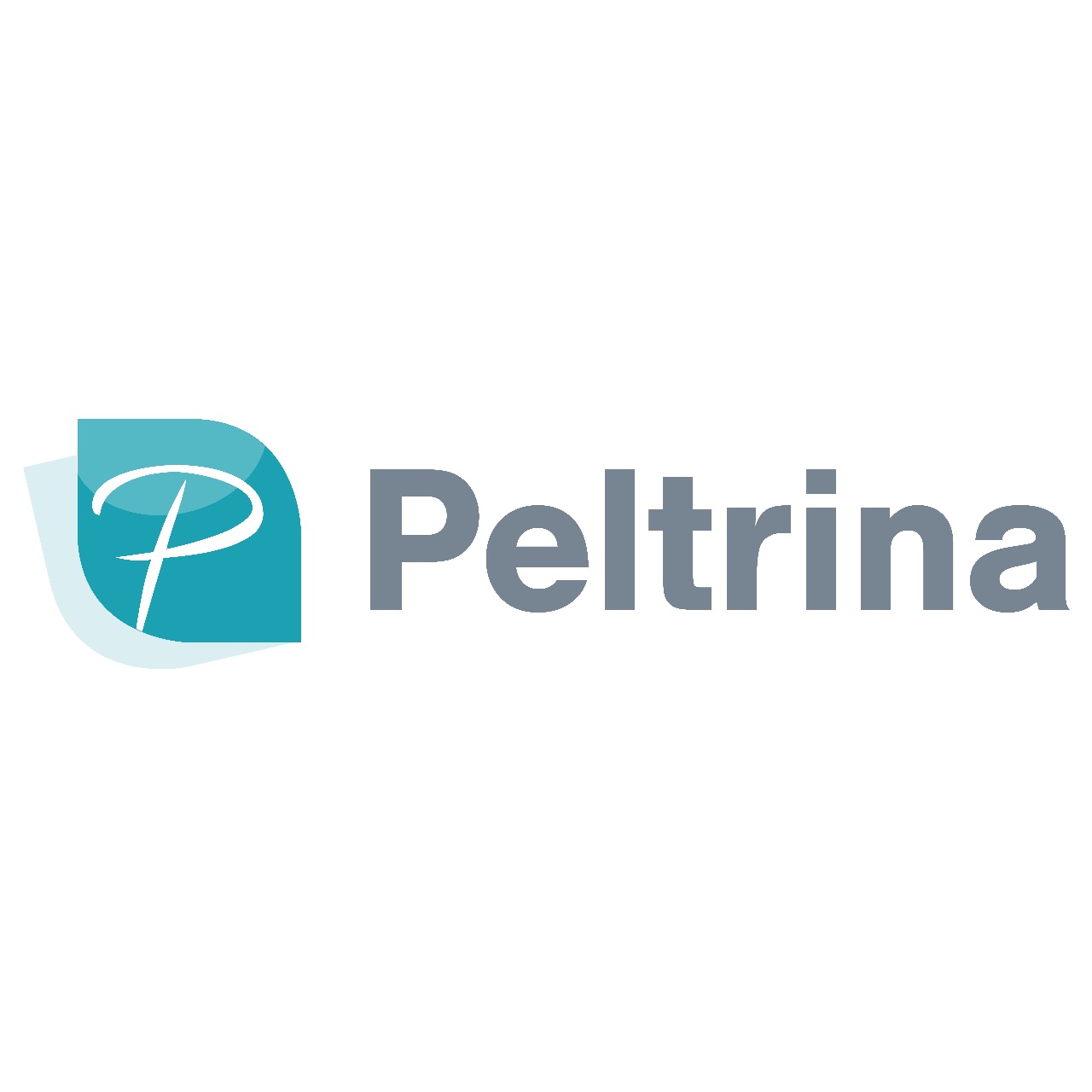 Logo Cliente 2